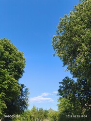 Súr
