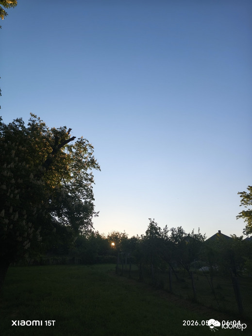 Súr