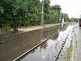 nemadommeg fotója