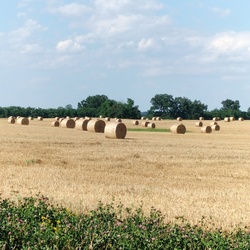 Természet 