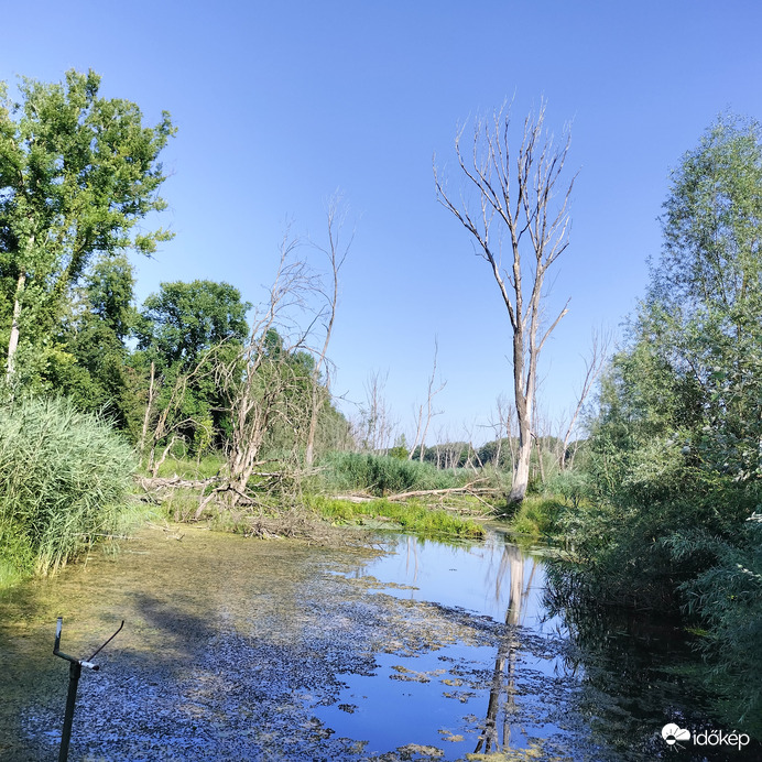 Dráva 
