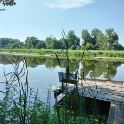 Dráva 