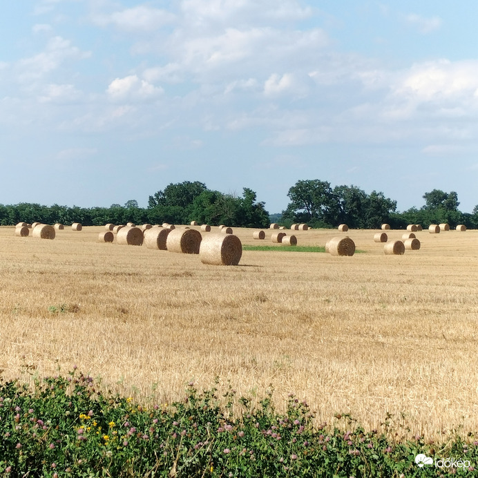 Természet 