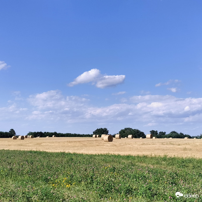 Természet 