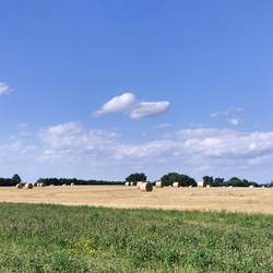 Természet 