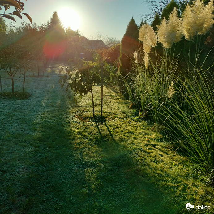 Őszi napsütéses reggel 