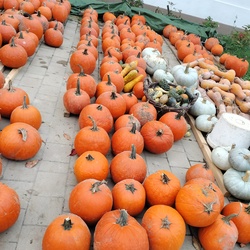 Természet ajándéka 