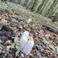 nemethandrea1971 fotója