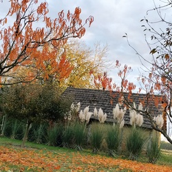 Őszi szìnkavalkàd