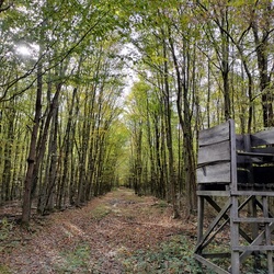 nemethandrea1971 fotója