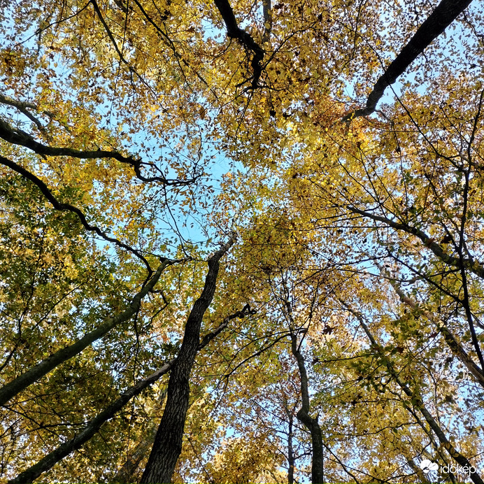 Andrea fotói gyönyörű november 