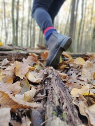 Andrea fotói a természet járó 