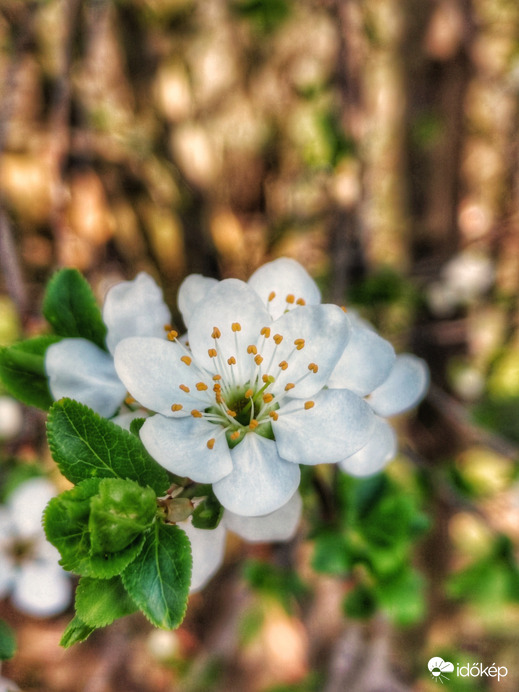 Apró csodák ☺️ 