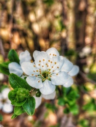 Apró csodák ☺️ 