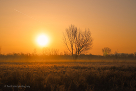 Csodás Napkelte Nőnap alkalmából