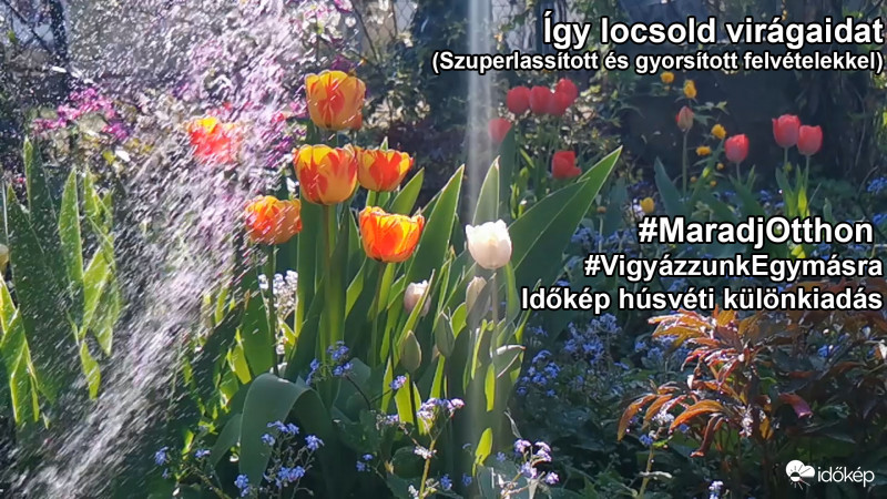 Húsvéti kihívás -kiajánló 2