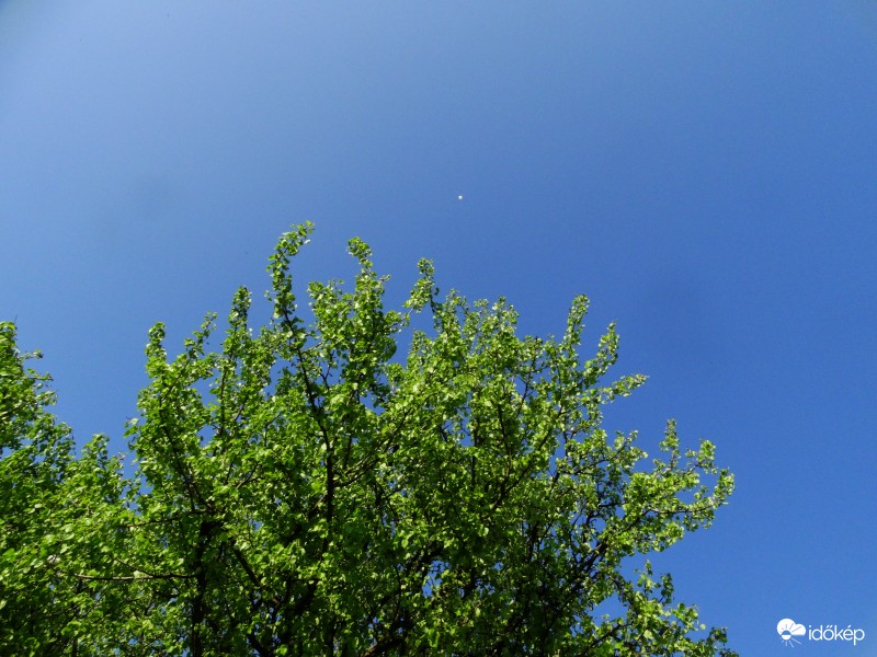 Ballon-170409-1668