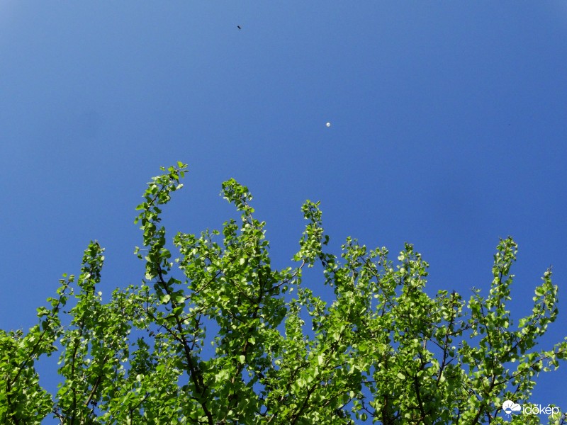 Ballon-170410-1669