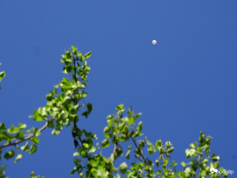 Ballon-170409-1670