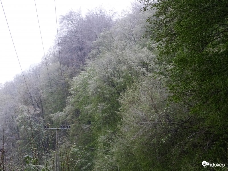 Bükk-Havazás-20140419-1729