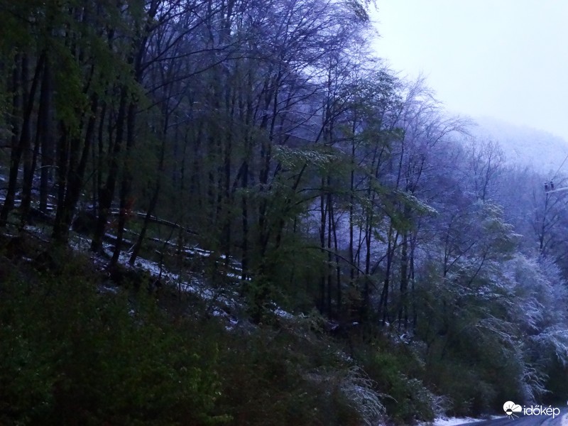 Bükk-Havazás-20140419-1776