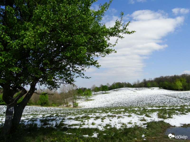 Tavaszi havazás-Bakony-1828