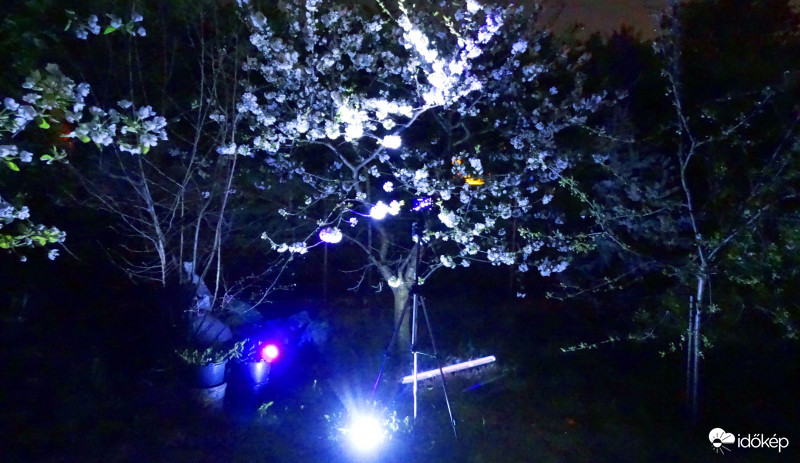 Lehetetlen színek - 1