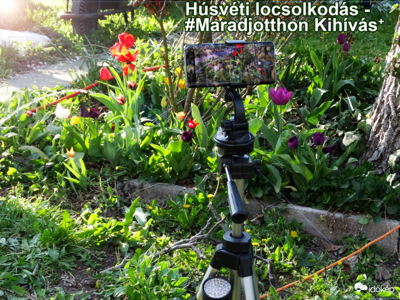 Húsvéti Maradj Otthon-Kihívás 5