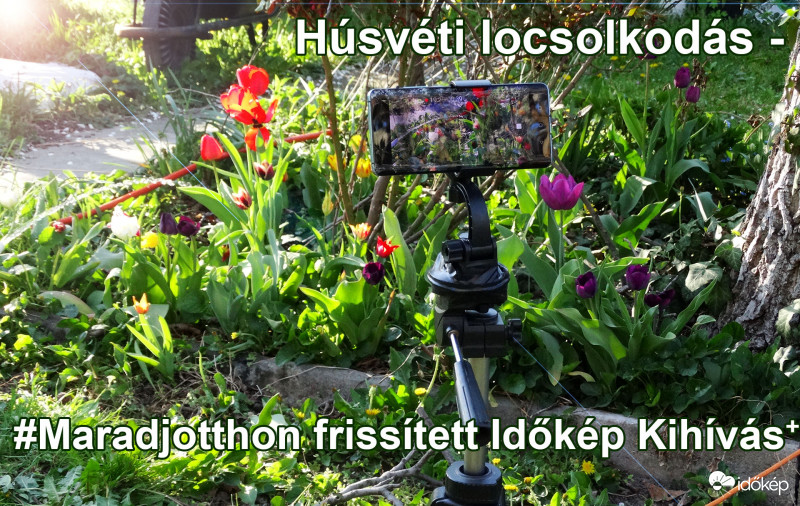 Húsvéti Maradj Otthon-Kihívás 4