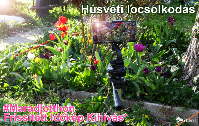 Húsvéti Maradj Otthon-Kihívás 2