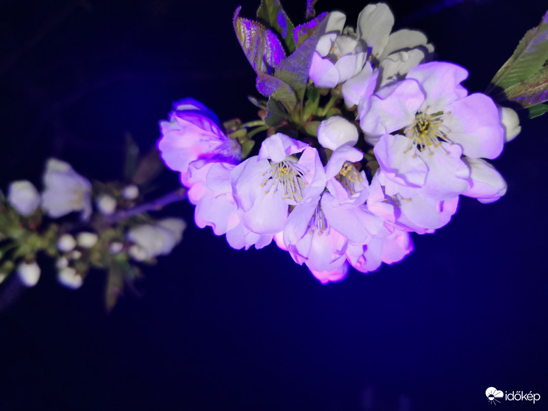 Láthatatlan színek - 3