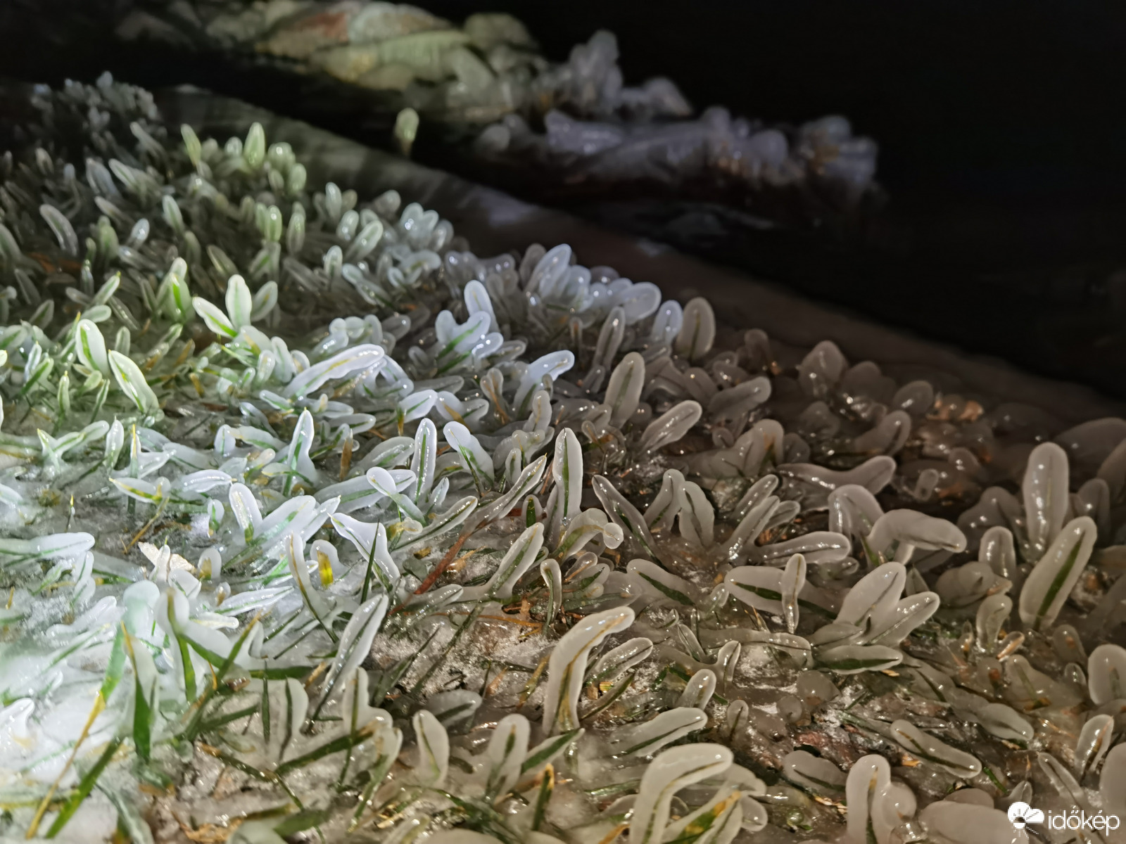 Egy idegen világ - jégbe zárva 4