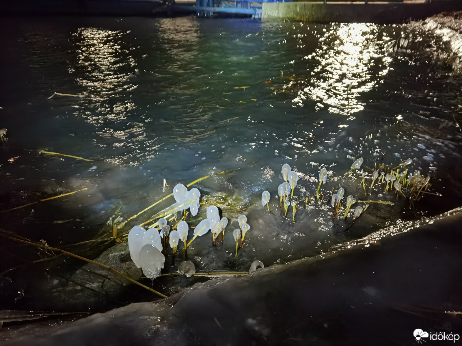 Egy idegen világ - jégbe zárva 48