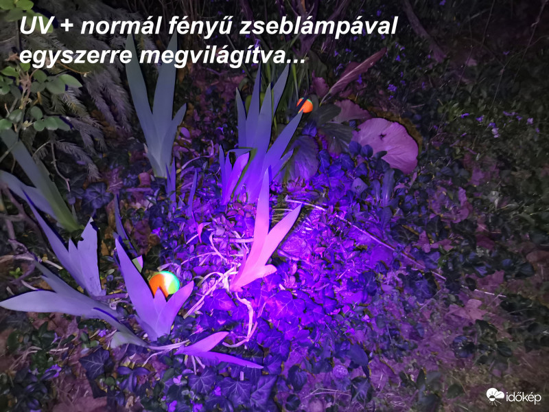 Uv-Fehér-Fény-Montázs2