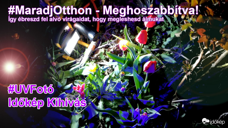 UV Fotó Kihívás- Lead 3