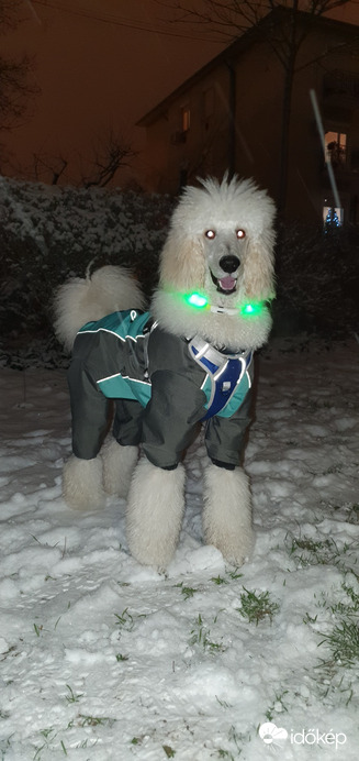 Budapest XIV.ker - Alsórákos