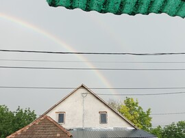 Mány