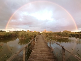 Szivárvány Székesfehérvár felett