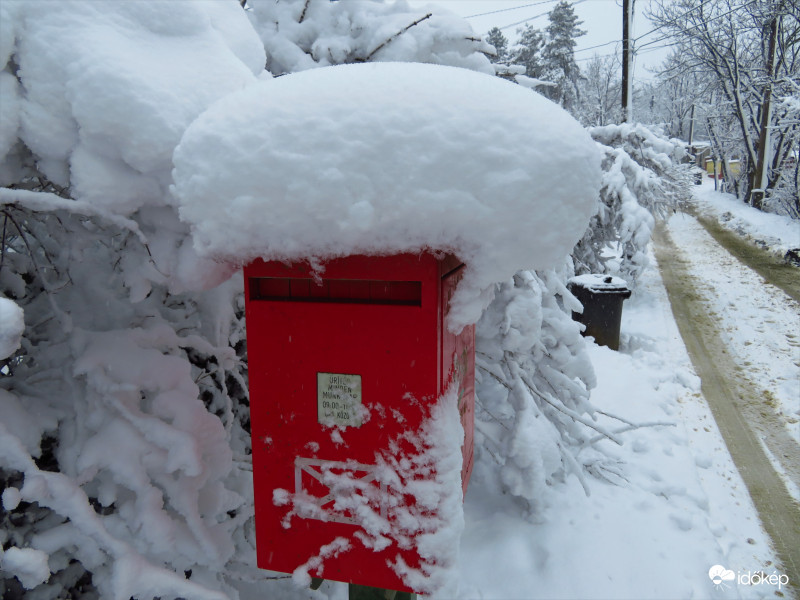 Ma délelőtti utcakép - részlet