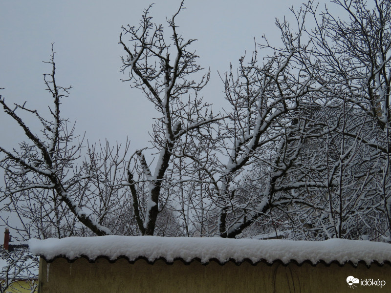 Havas fák - újra :)