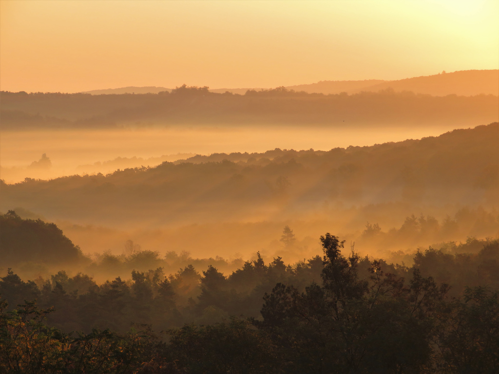 Őszi napsugarak a ködön át :)