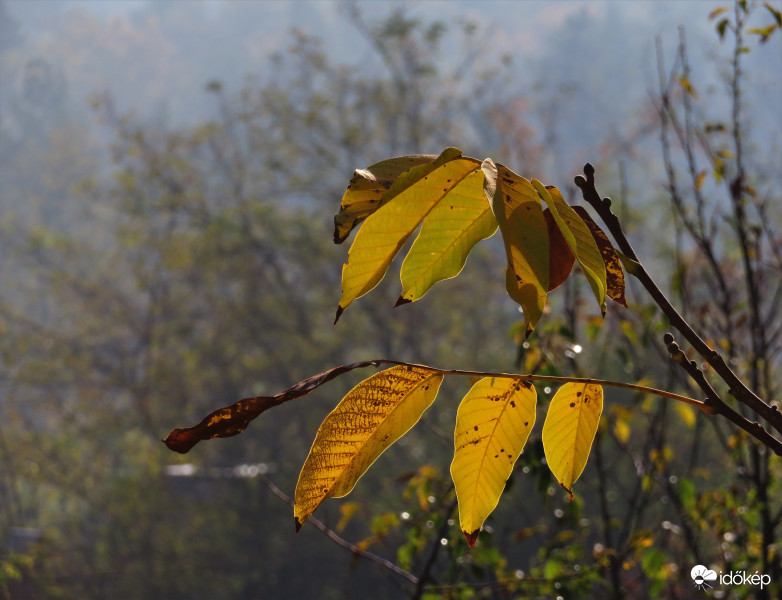 Ellenfényben (némi párával)