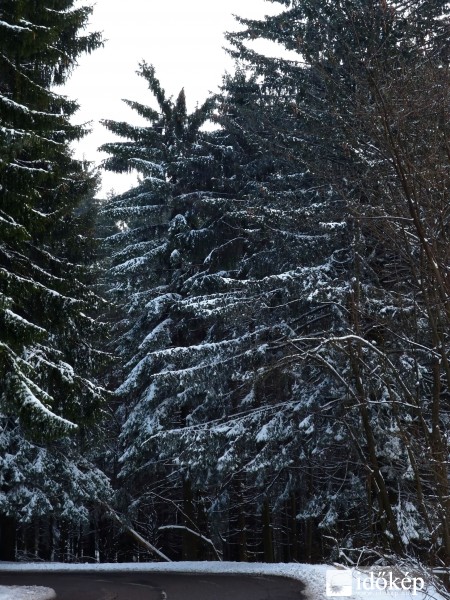 Tél a tavaszban
