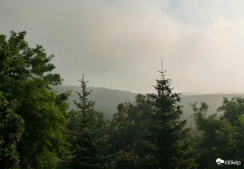 2016. 07. 29., 07:45-kor