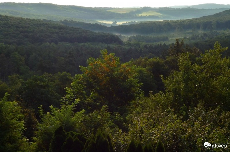 Nyári reggel pici párával