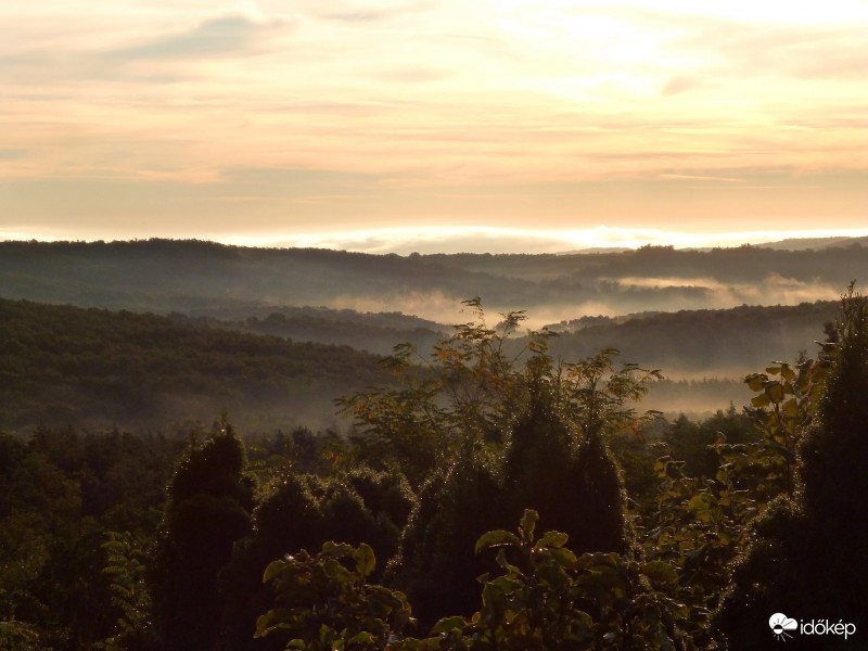 Párás, harmatos vasárnap reggel