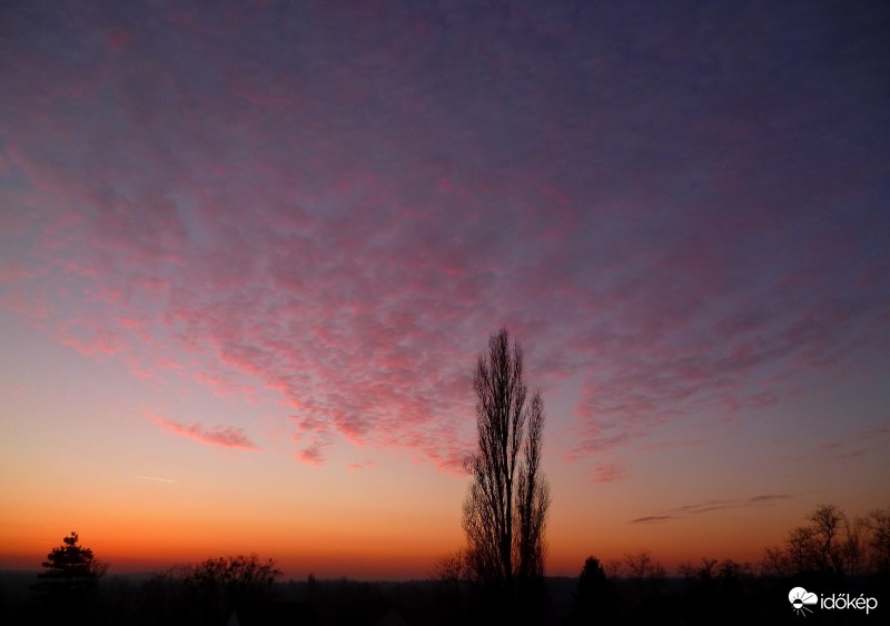 Gödöllő, 2016. 12. 30., 16:11-kor
