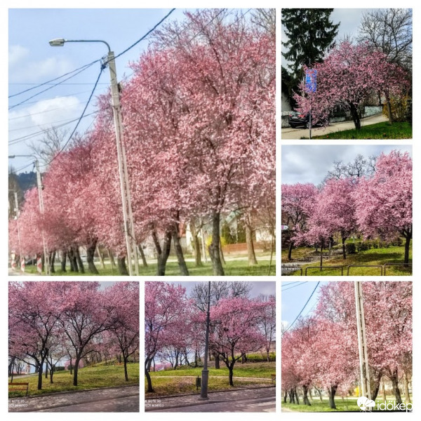 Én ezzel a kollázzsal szeretnék mindenkinek kellemes húsvéti ünnepeket kívánni! :) 
