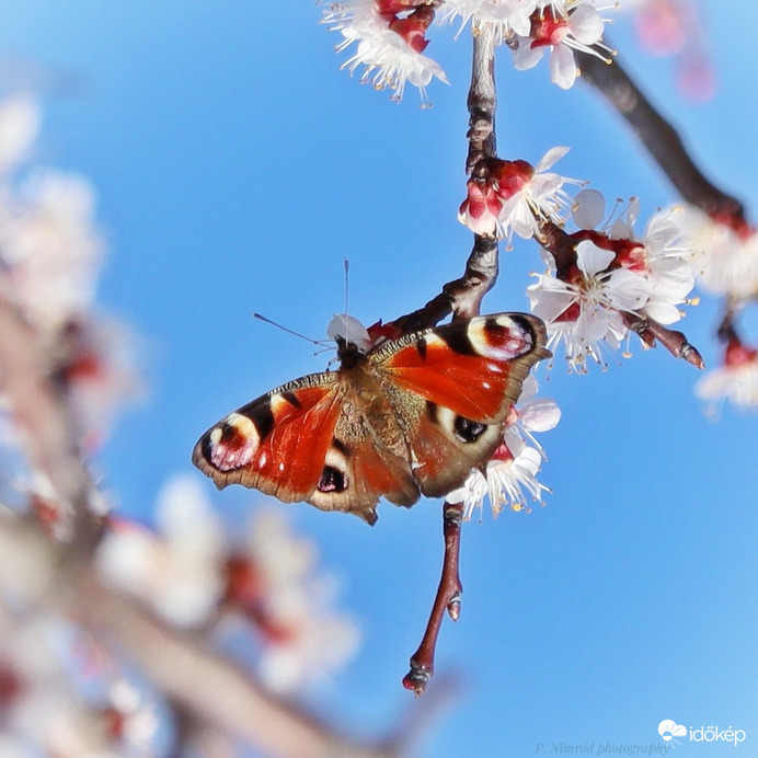 Szikrázó napsütésben ☺️