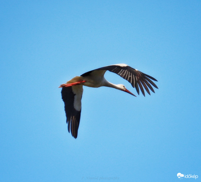 Találkozunk jövőre :)